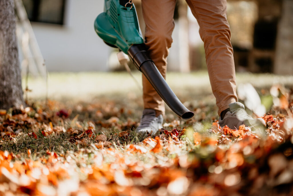 Person blowing leaves with a leaf blower