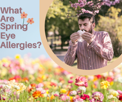 what are spring eye allergies?