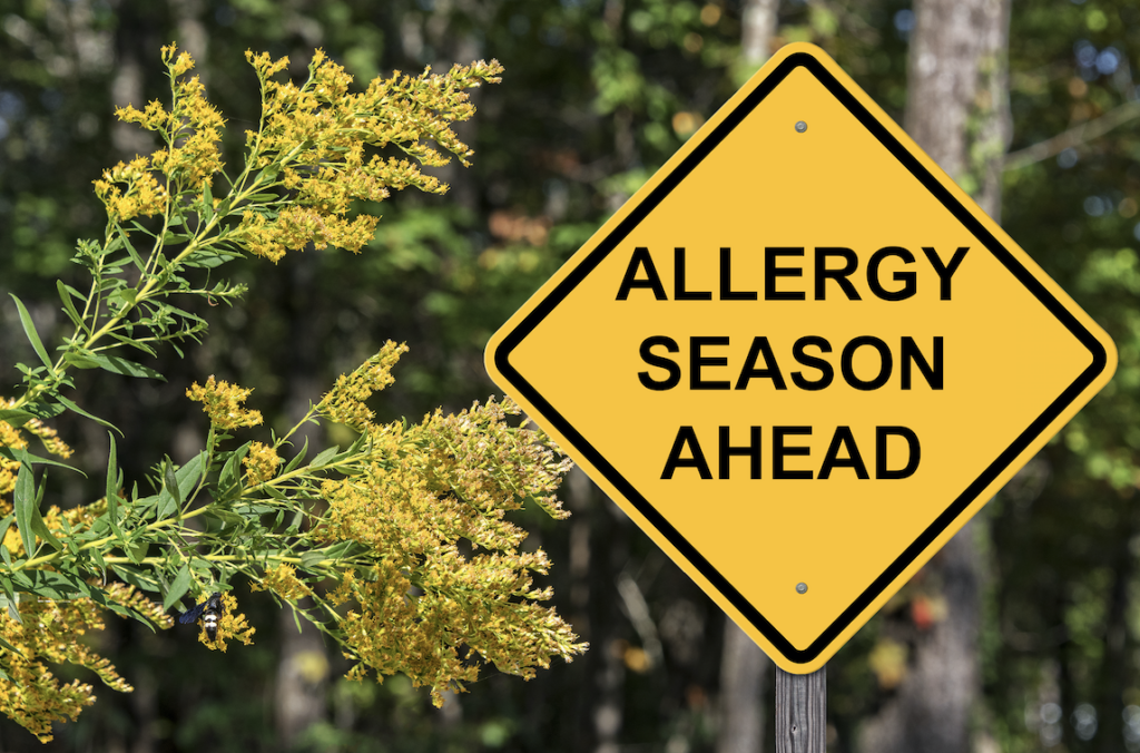 Allergy Season Ahead